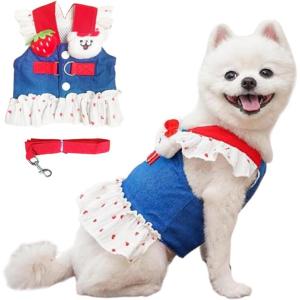 ANIAC Denim Dog Dress Harness with Leash Set Cute Small Dogs Clothes Girl Heart Patterns Puppy Dresses Breathable Mesh Cat Harness Leash Strawberry Chihuahua Yorkie Outfit (Pink Heart, Large)(White Heart)