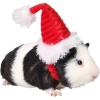 XX-Small(Striped-mini hat for small pet)