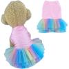 Pink tutu