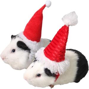 ANIAC Adjustable 3D Christmas Dog Hat for Small Dogs Cat Santa Hat Puppy Santa Costume…(XX-Small(2pcs Striped+Red-mini hat))