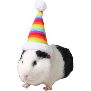 ANIAC Adjustable 3D Christmas Dog Hat for Small Dogs Cat Santa Hat Puppy Santa Costume…(XX-Small(Rainbow-mini hat for small pet))