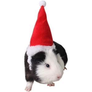 ANIAC Adjustable 3D Christmas Dog Hat for Small Dogs Cat Santa Hat Puppy Santa Costume…(XX-Small(Red-Mini hat for small pet))