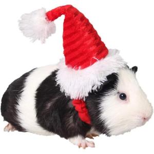 ANIAC Adjustable 3D Christmas Dog Hat for Small Dogs Cat Santa Hat Puppy Santa Costume…(XX-Small(Striped-mini hat for small pet))