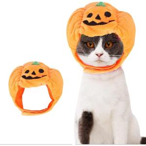 ANIAC Dog Halloween Hat Kitten Pumpkin Cap Puppy Party Cosplay Dress Cat Pumpkin Costume Funny Pet Headgear Festival Head Accessory for Cat and Small Dogs (Small)(Orange)