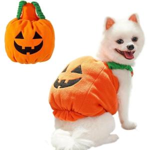 ANIAC Dog Pumpkin Costume Halloween Cat Pumpkin Outfit Funny Puppy Clothes for Small Dogs Pet Party Cosplay Accessories (Orange Clohes, Small)(Orange Clohes)