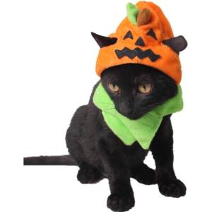 ANIAC Pet Halloween Costume Adjustable Magic Witch Hat with Bell Star Decor for Cats and Small Dogs Purple(Orange)