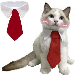 ANIAC Small Dog & Cat Wedding Collar – Formal Bow Tie for Cats & Puppy Collar – White Tuxedo Costume for Small Dogs & Kittens (S, Red)(Red)