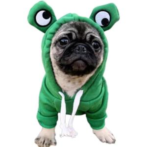 ANIAC Dog Hoodies Sweatshirt with Bunny Ears Spring Puppy Clothes for Small Dog Girl Boy Soft Doggy Sweater Cat Apparel Pet Clothing for Kitten Pomeranian Chihuahua (Small, Pink)(Green)